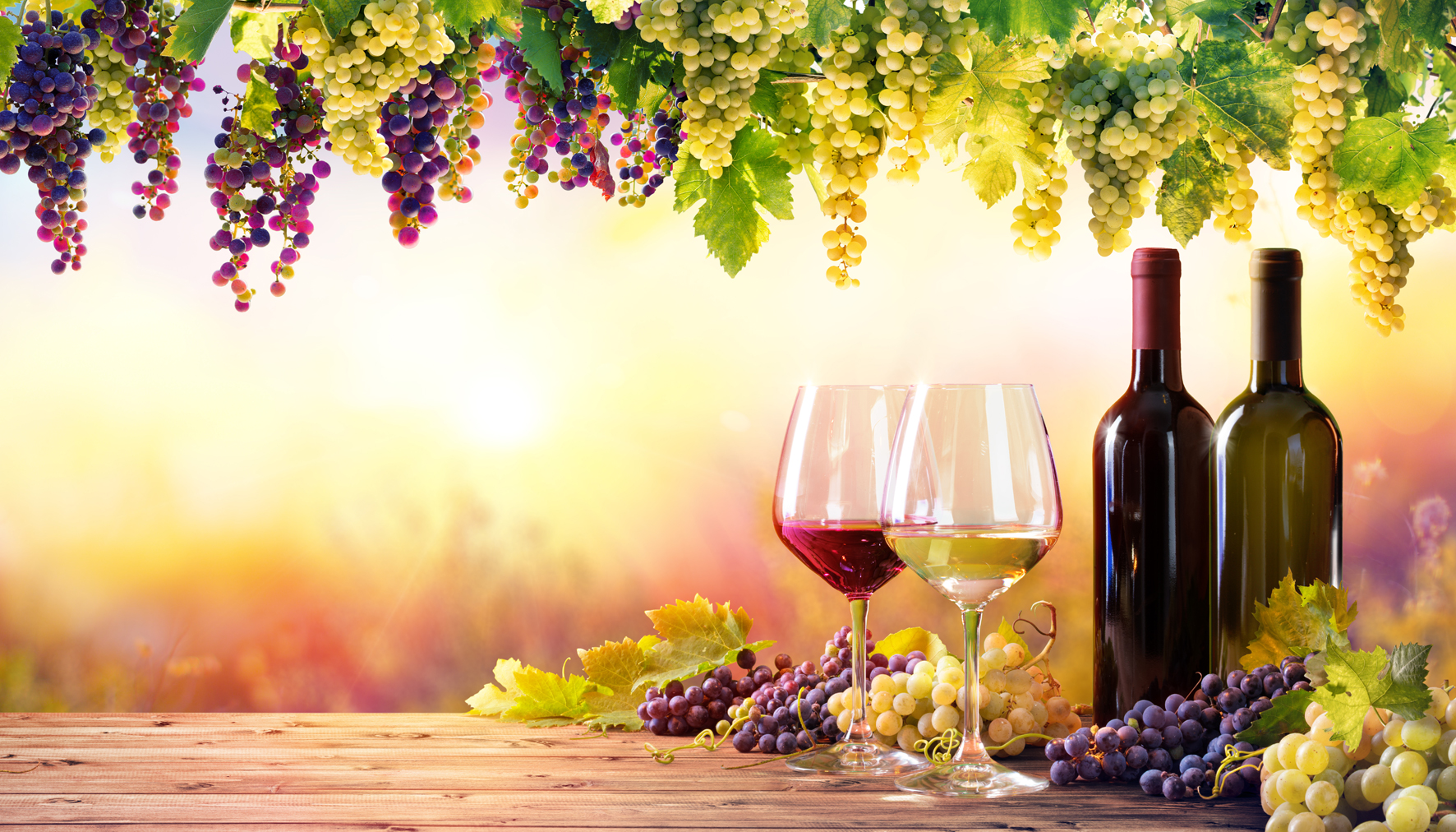 Wine Diversity