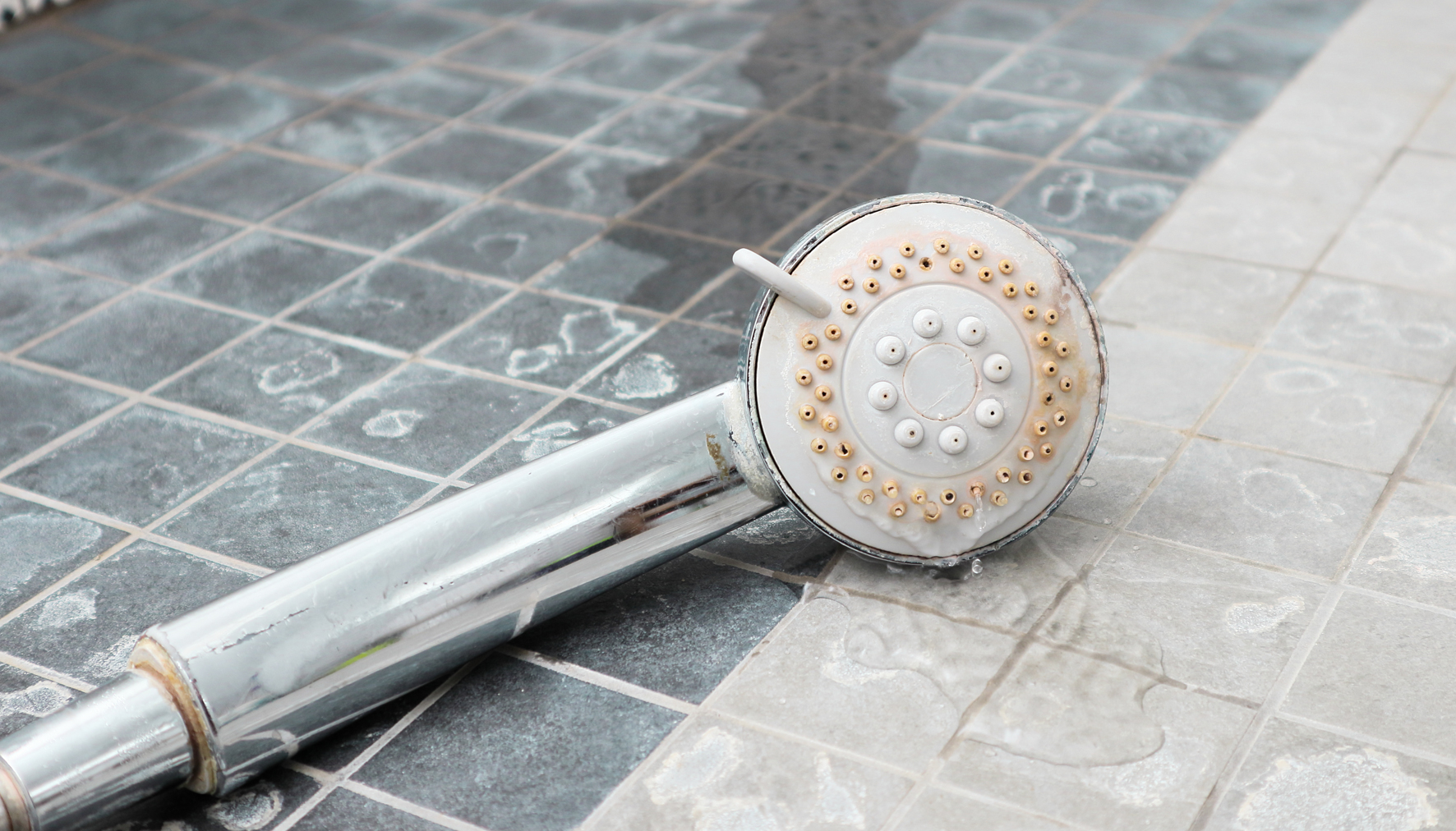 Hard Water Shower