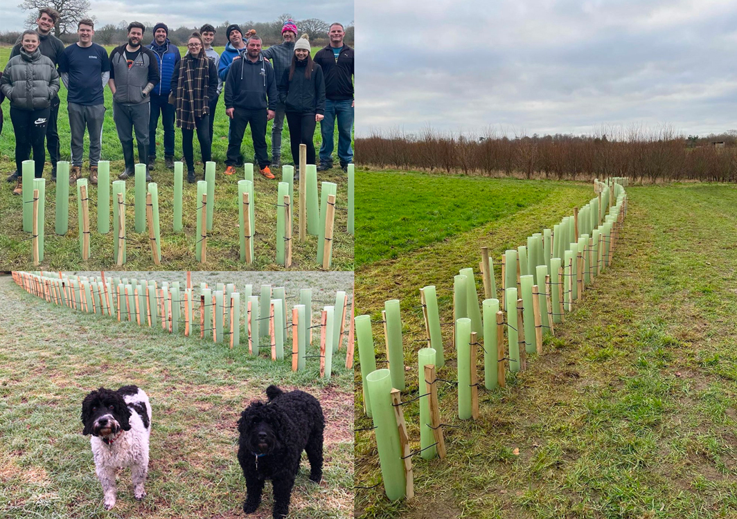 Tree Planting Tree Planting
