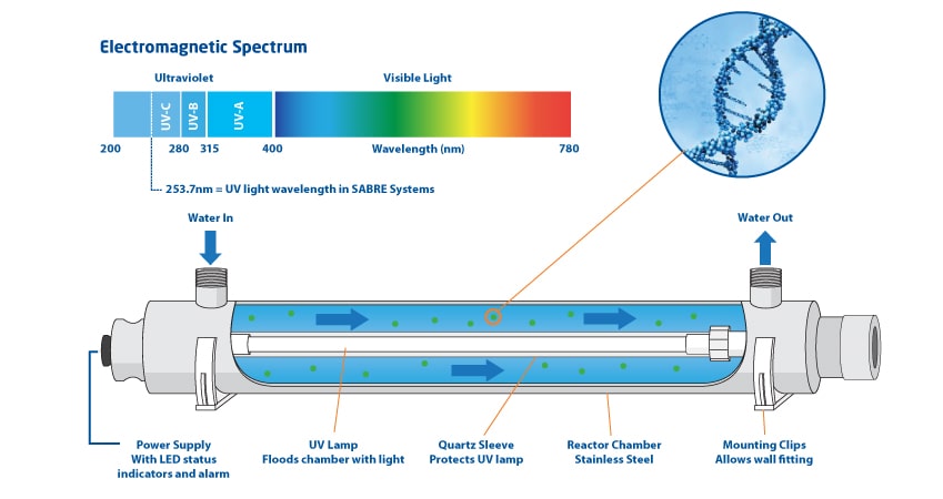 Uv Dna