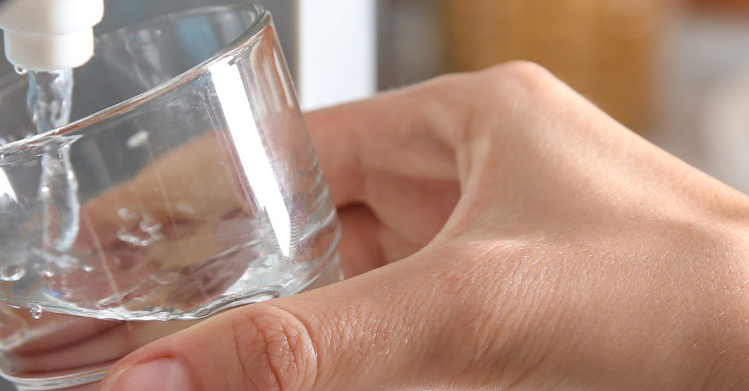 What Are Fridge Water Filters and Why Should Every Home Have One?
