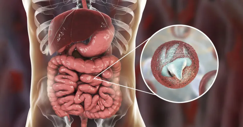 What is Cryptosporidium and how do you prevent it with methods of filtration? Find out more from Fileder Filter Systems!