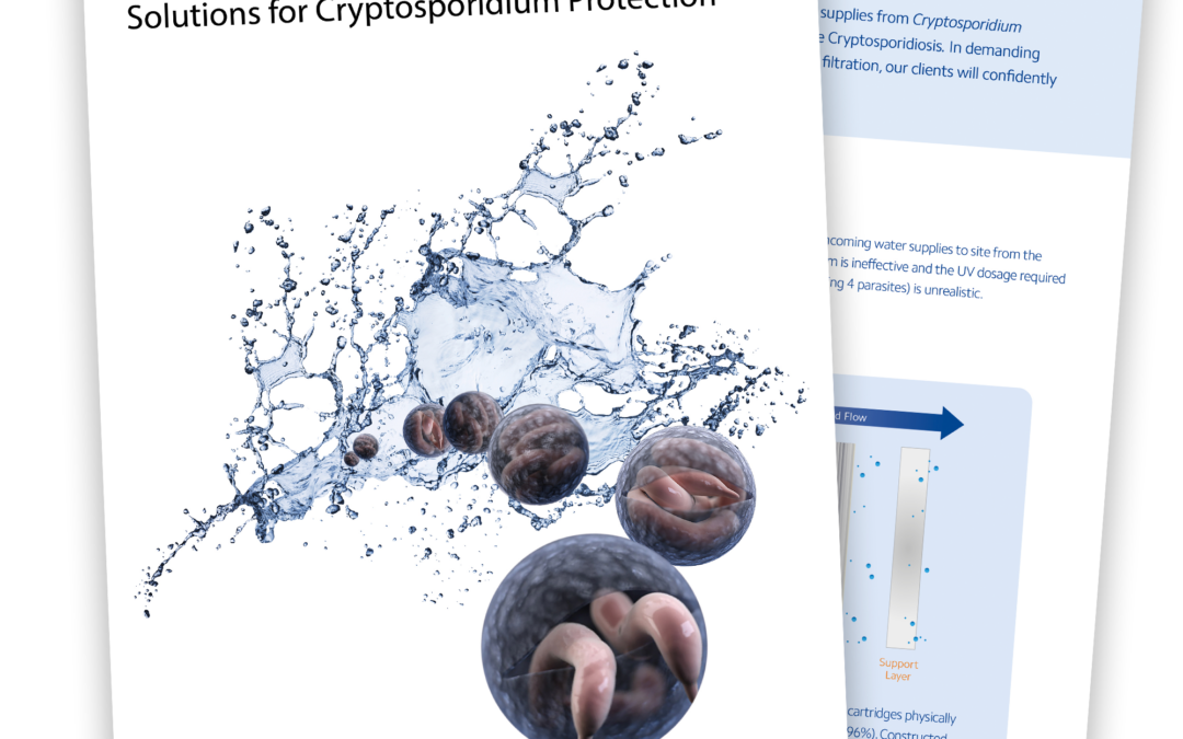 Crypto Cta