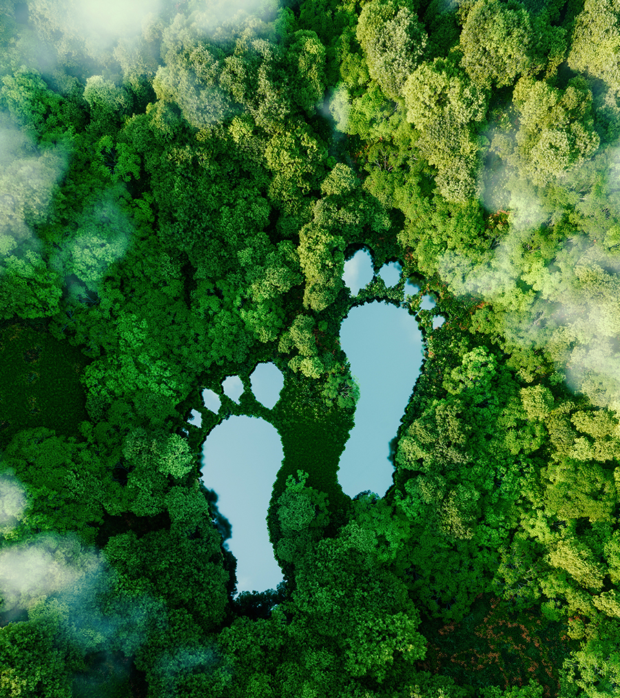 Carbon Footprint Bigger