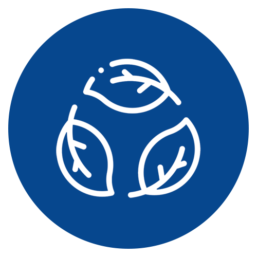 Environment Icon